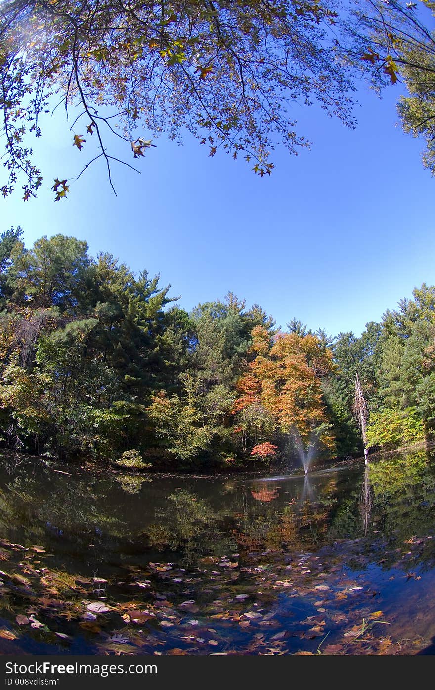 Pond and fall leaves with wide angle