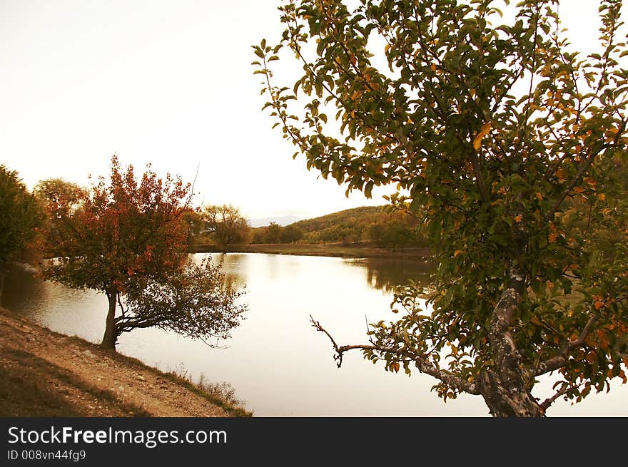 Lake and tree on the sunrise in Crimea. Lake and tree on the sunrise in Crimea