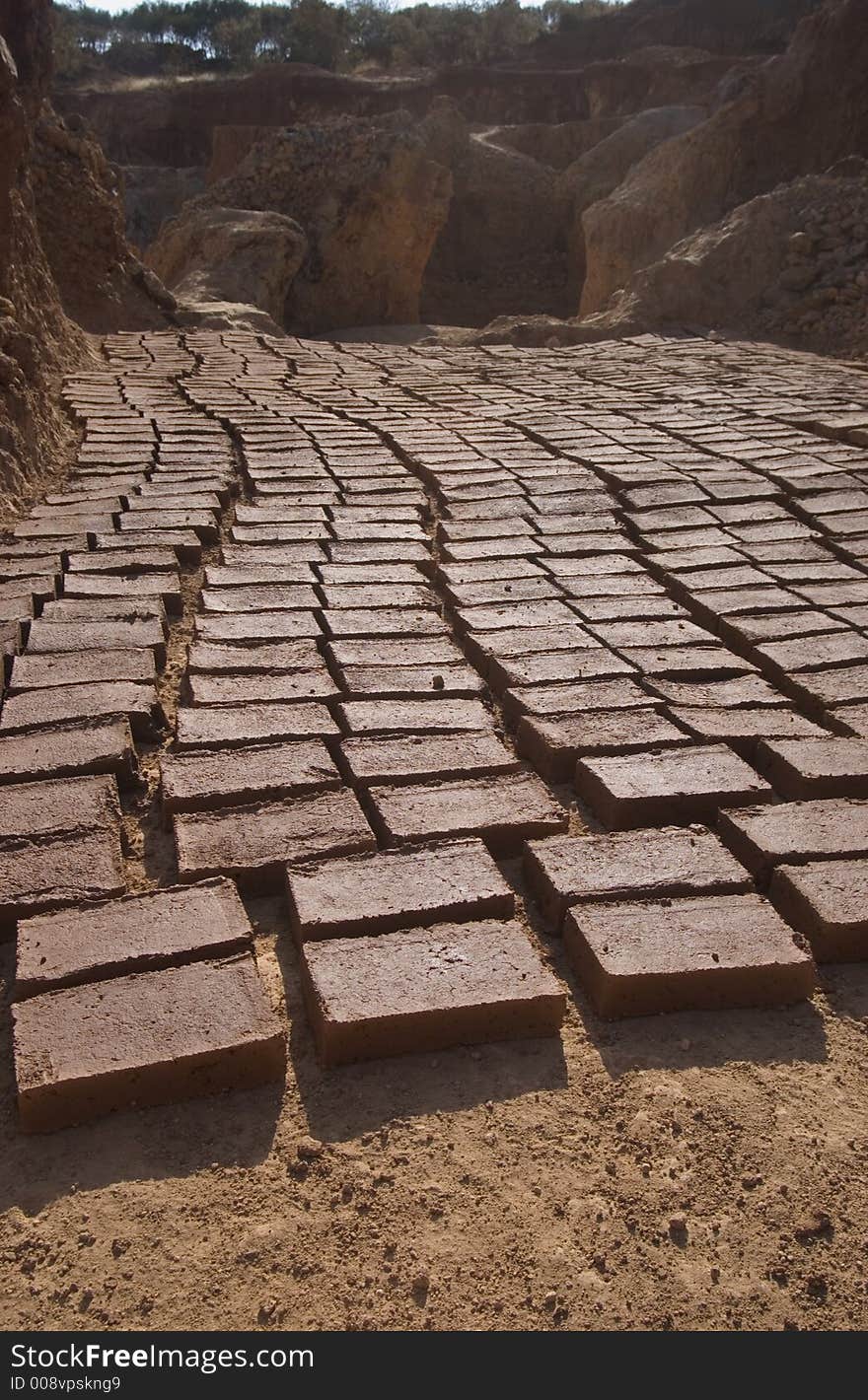 Bricks drying in the sun