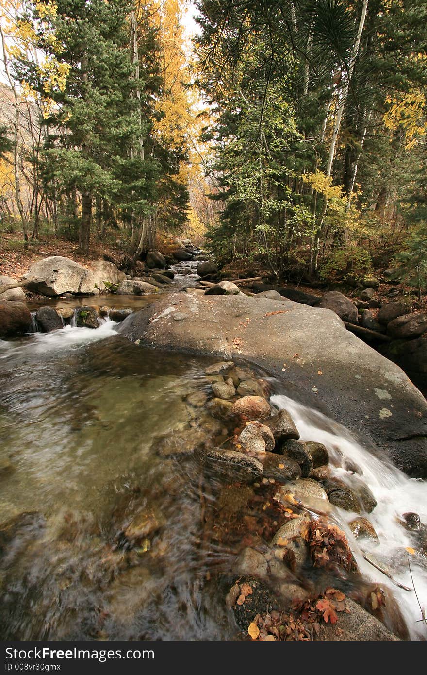 Creek in fall with aspens 6