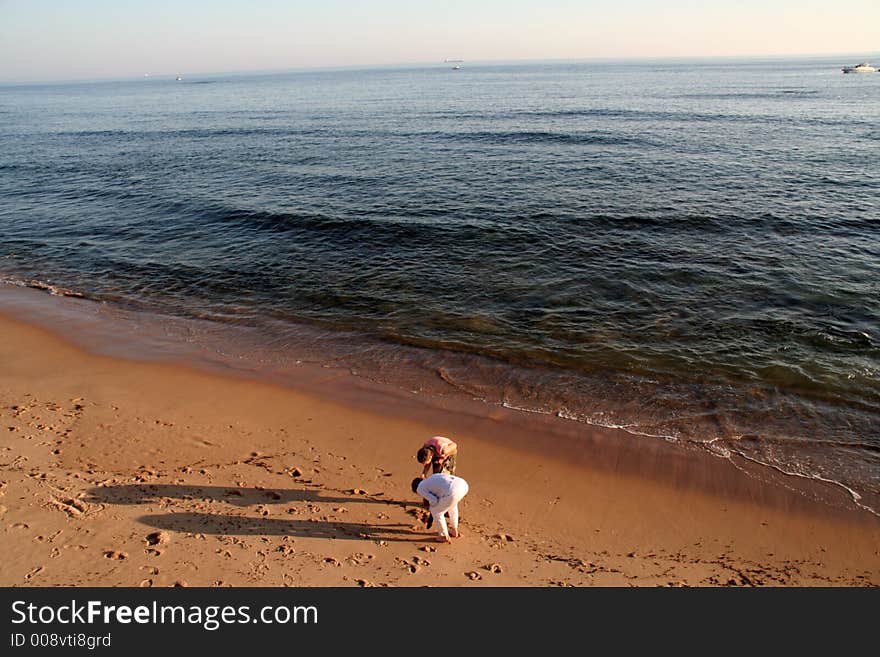 Looking for shells