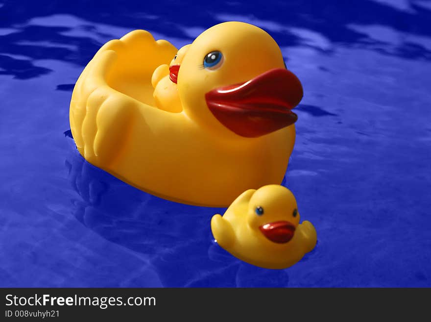 Yellow rubber duck family and blue water. (with clipping path). Yellow rubber duck family and blue water. (with clipping path)