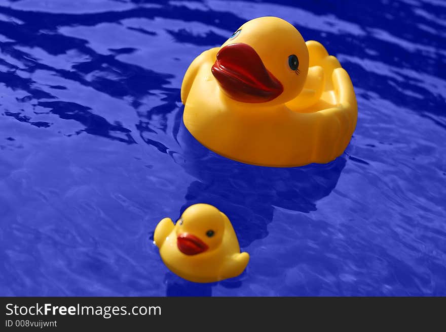 Yellow rubber duck family and blue water. (with clipping path). Yellow rubber duck family and blue water. (with clipping path)