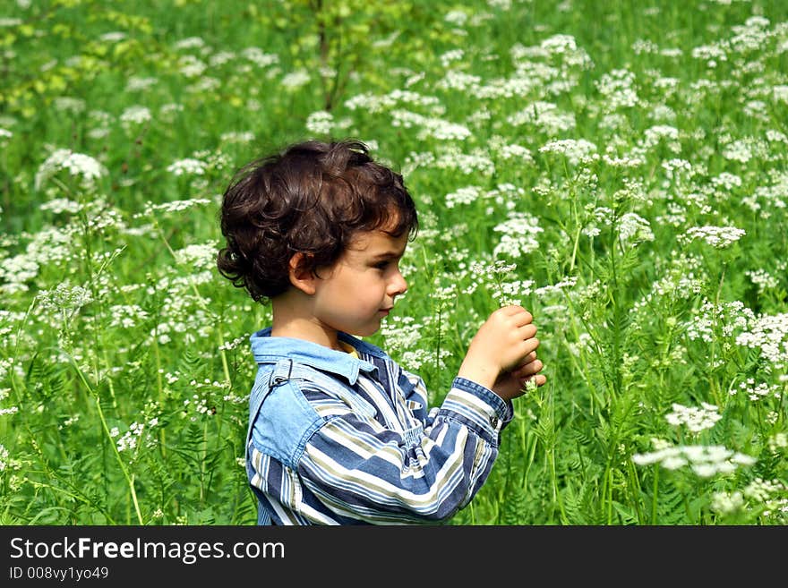 Walk on a meadow in a sunny day. Walk on a meadow in a sunny day.