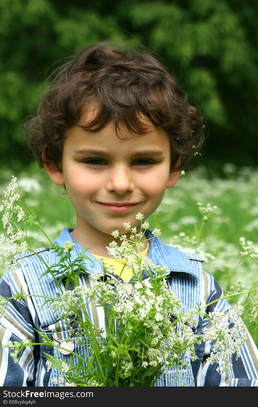 Walk on a meadow in a sunny day. Walk on a meadow in a sunny day.