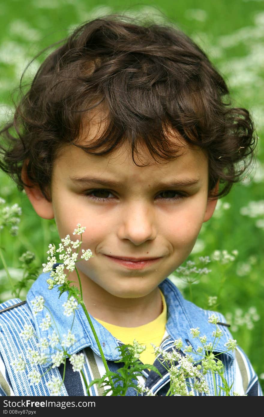 Walk on a meadow in a sunny day. Walk on a meadow in a sunny day.