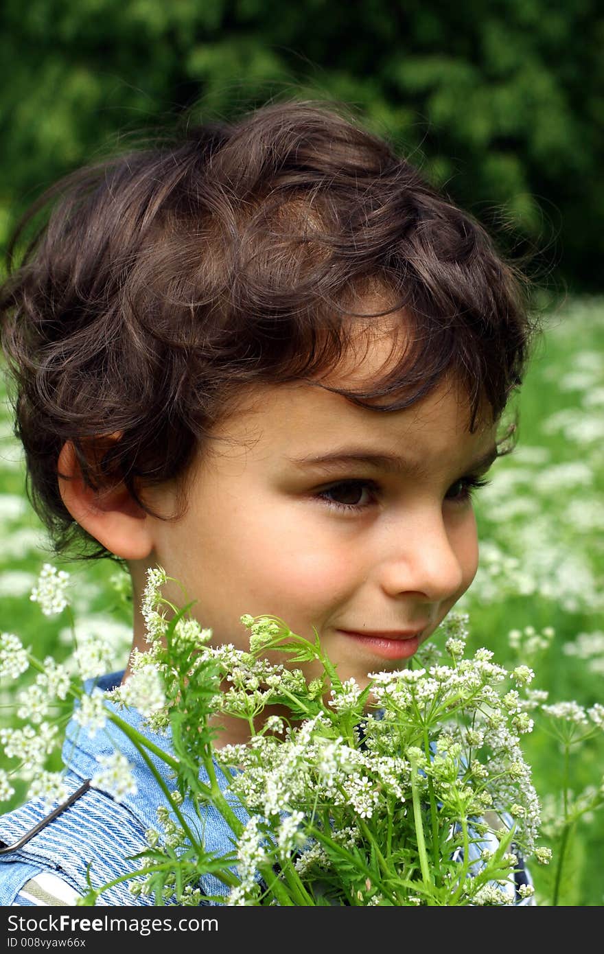 Walk on a meadow in a sunny day. Walk on a meadow in a sunny day.