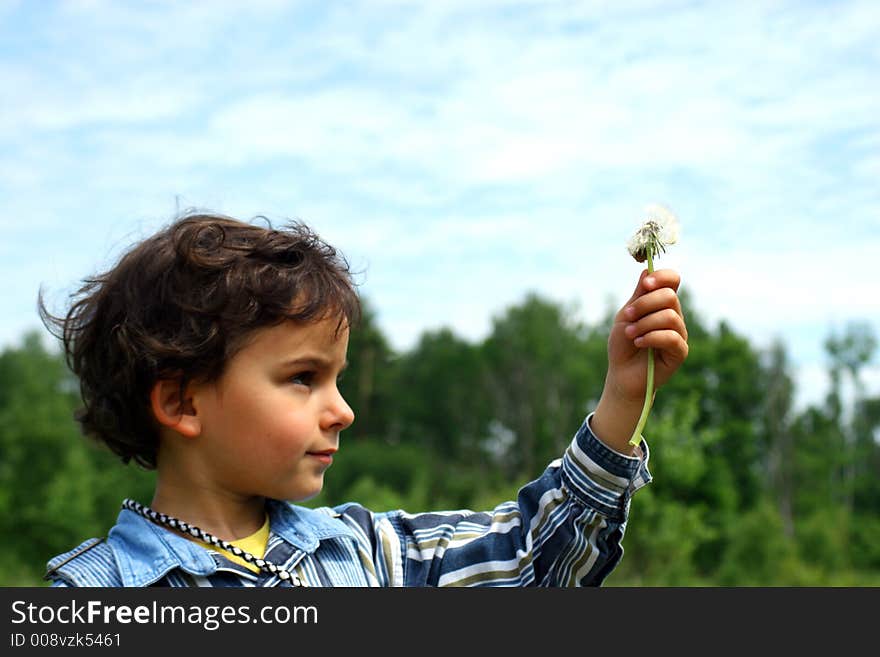 Walk on a meadow in a sunny day. Walk on a meadow in a sunny day.