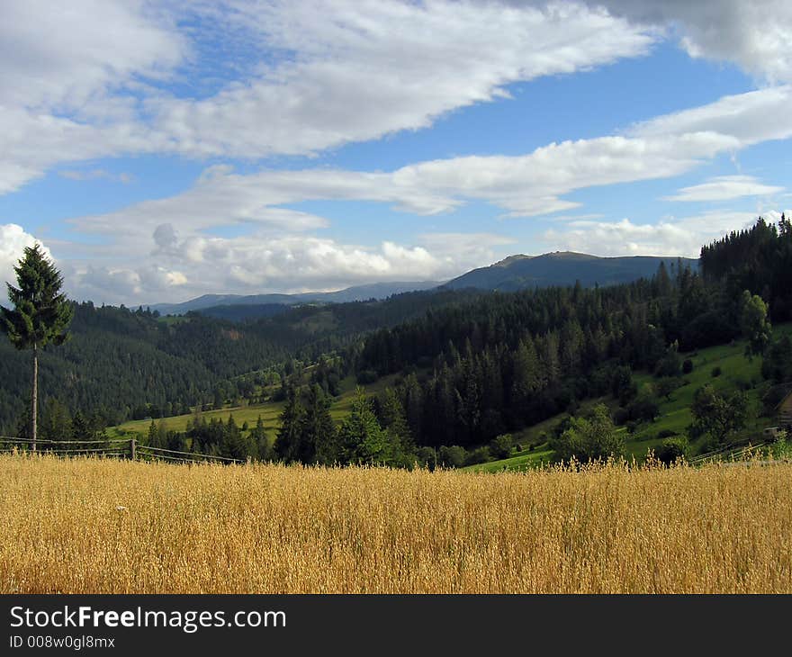 Mountainous landscape