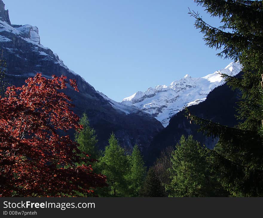 Autumn in beautiful Grindelwald Switzerland. Autumn in beautiful Grindelwald Switzerland