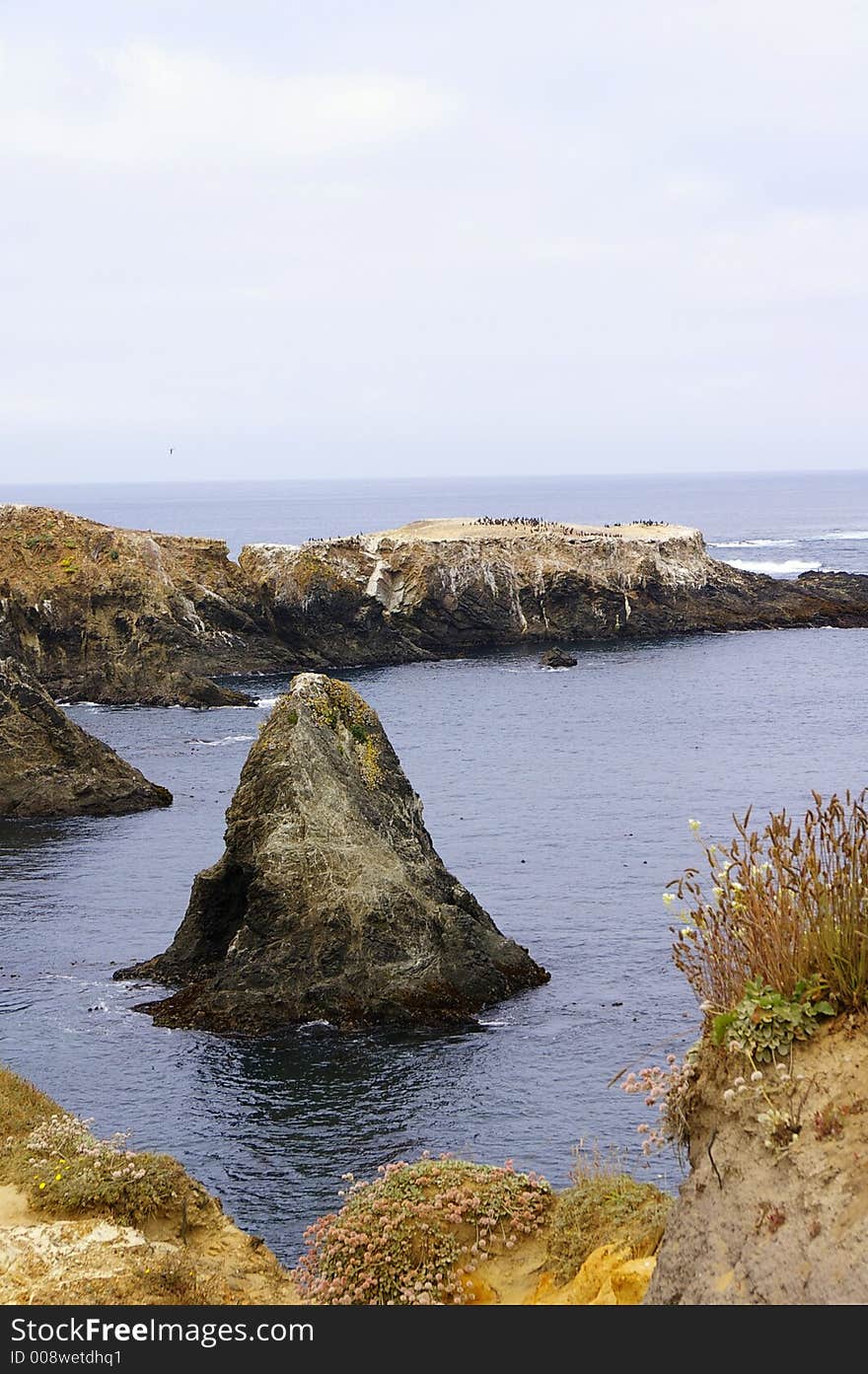 Mendocino coast