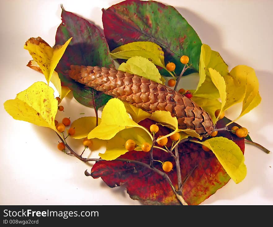 Red, Green and Yellow Autumn Leaves with a Pine Cone. Red, Green and Yellow Autumn Leaves with a Pine Cone