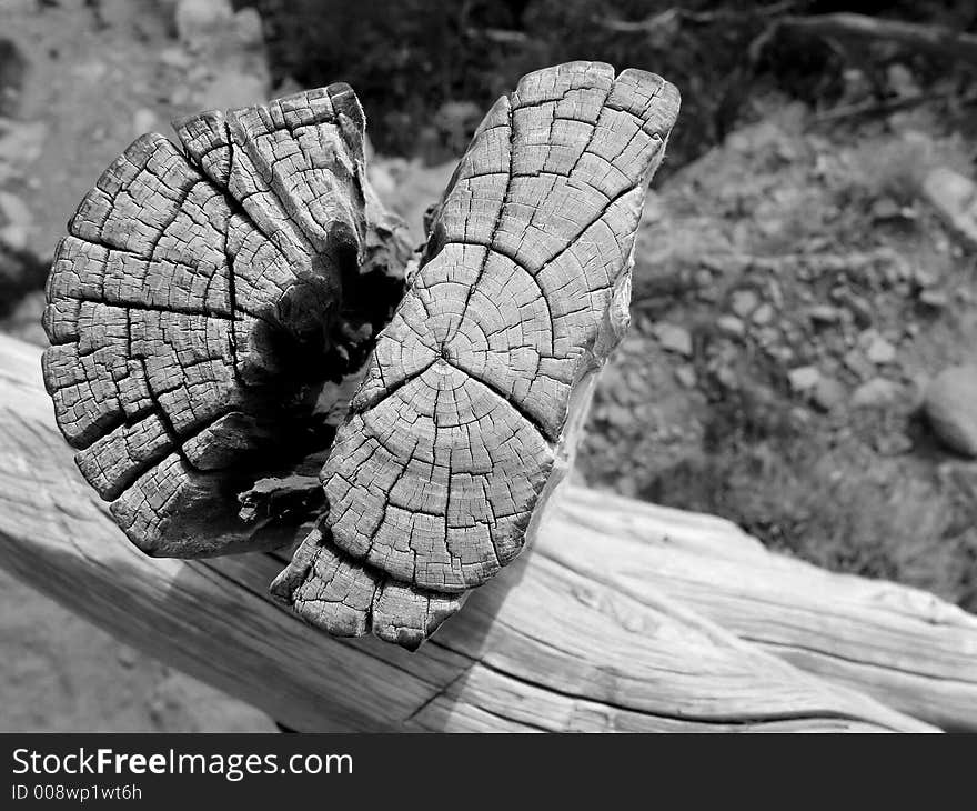 Closeup of the post of a fence. Closeup of the post of a fence