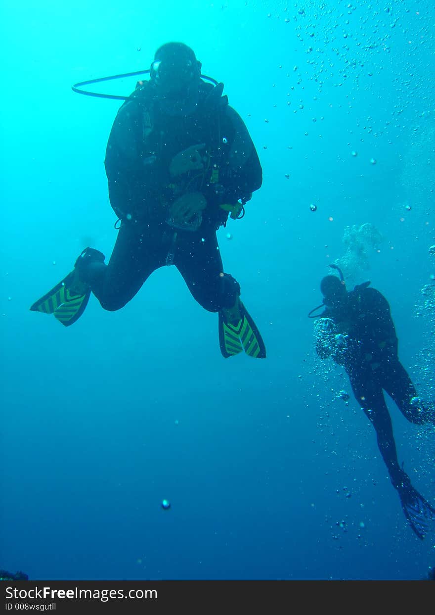 Scuba divers swimming in the water. Scuba divers swimming in the water