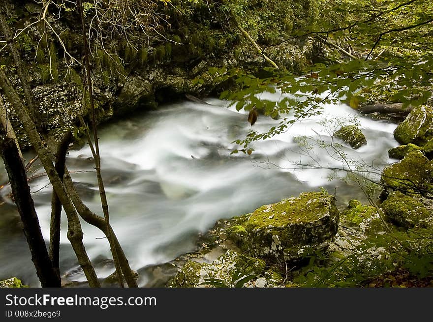 The river in the forest