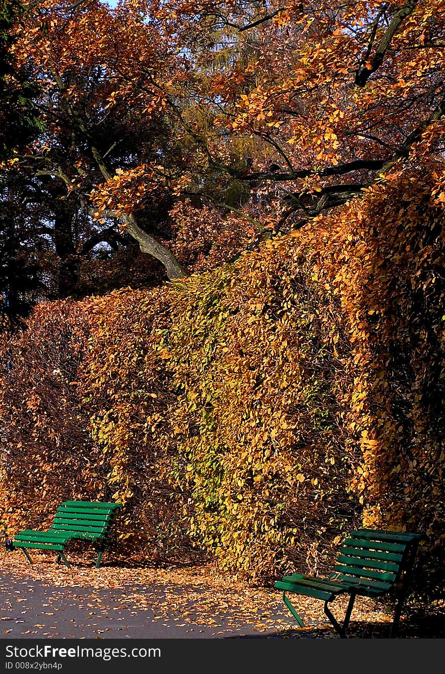 Autumn park view with benches