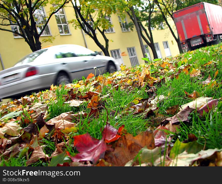 Fallen leaves and speeding cars; focus on leaves. Fallen leaves and speeding cars; focus on leaves