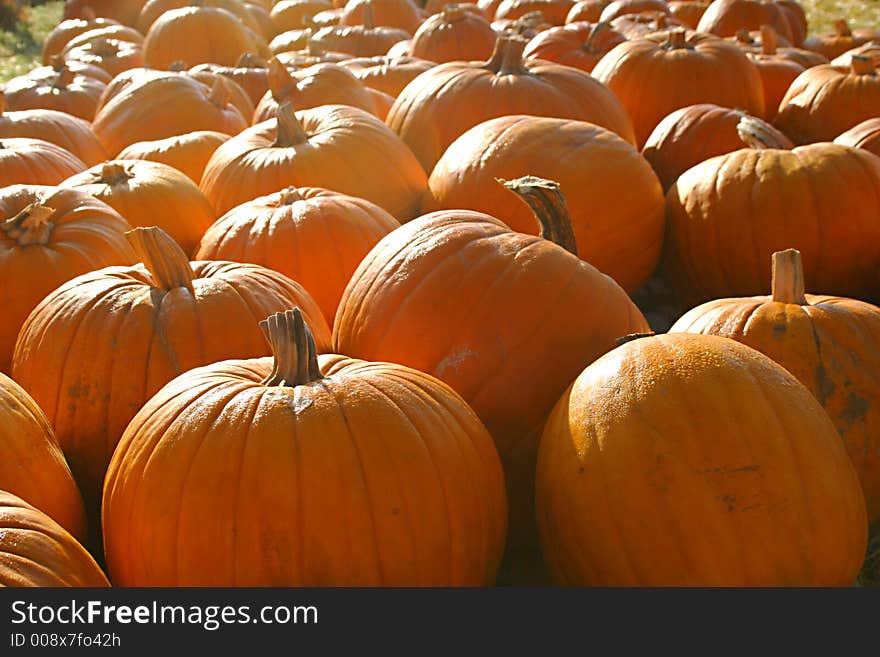 Pumpkins