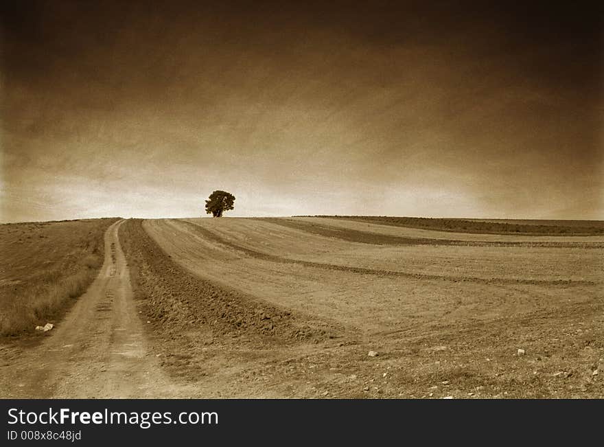 Sepia photo depicting a lanscape of minimal aesthetics. Sepia photo depicting a lanscape of minimal aesthetics