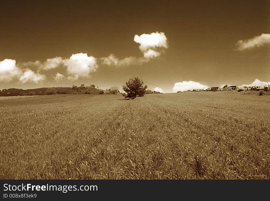 Sepia photo depicting a lanscape of minimal aesthetics. Sepia photo depicting a lanscape of minimal aesthetics