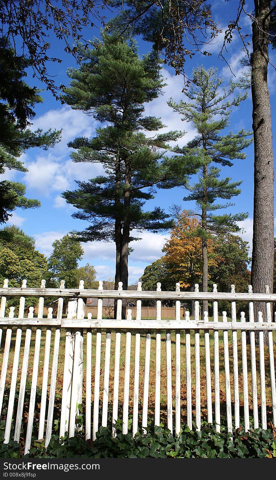 An old wooden fence in need of a paint job