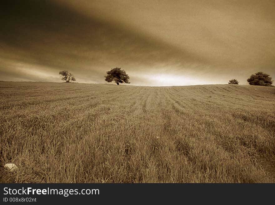 Sepia photo depicting a lanscape of minimal aesthetics. Sepia photo depicting a lanscape of minimal aesthetics