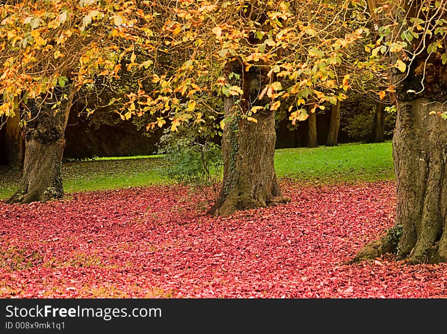 Three Trees