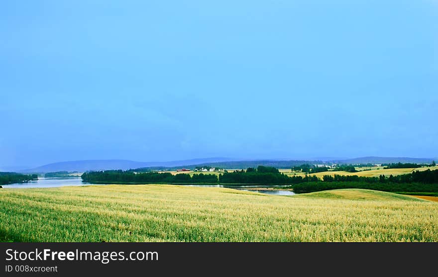 Rainy Countryside Landscape