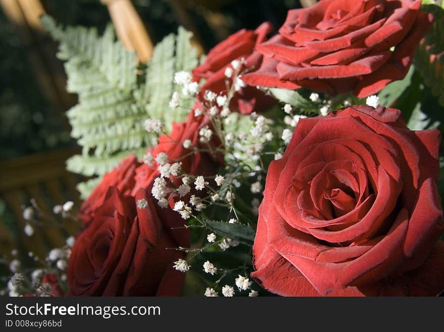 Bunch of red roses at sunlight