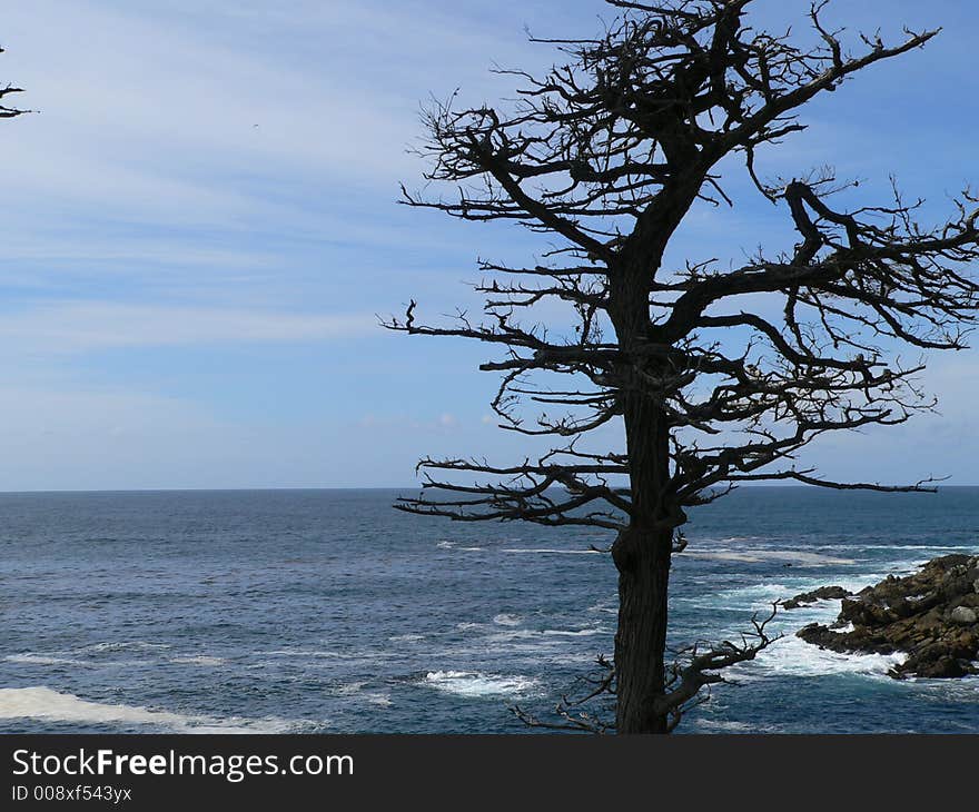 Pebble Beach