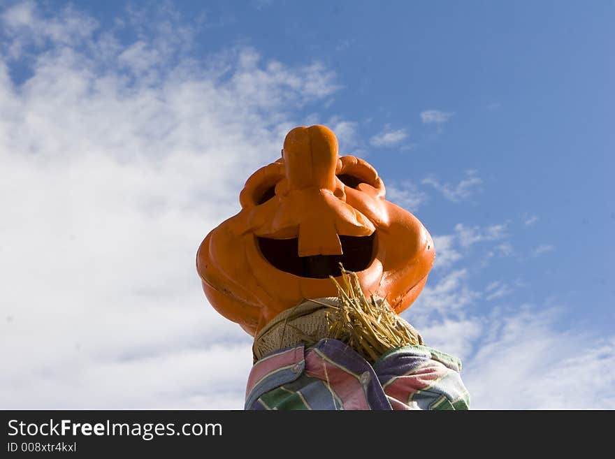 Scarecrow head on the farm