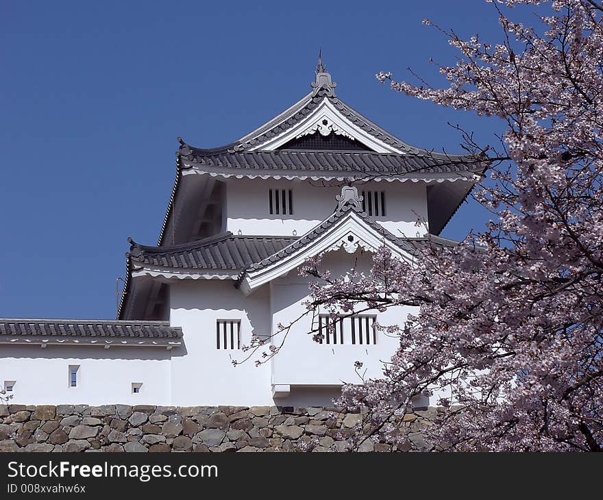 Japanese castle in Kofu, Yamanashi prefecture in spring-time with blossom cherry (sakura) branches. Japanese castle in Kofu, Yamanashi prefecture in spring-time with blossom cherry (sakura) branches