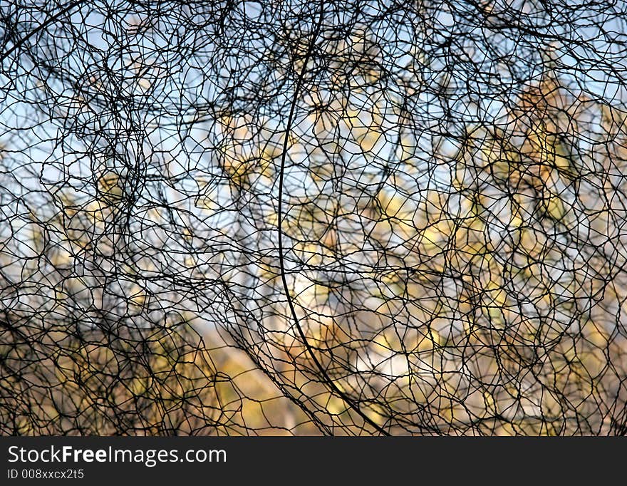 Pattern of chicken wire