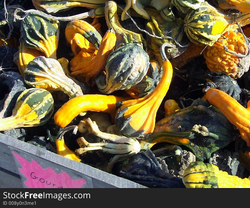 A bin of colorful dried gourds at roadside stand. A bin of colorful dried gourds at roadside stand