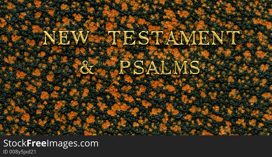 Leather book cover - New Testament and Psalms