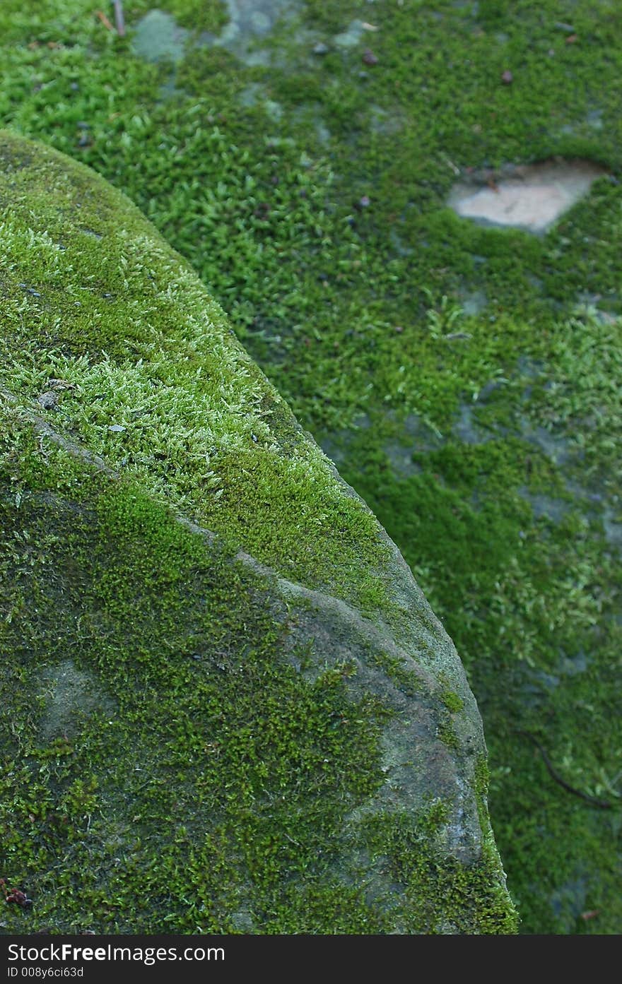 Green moss covering Sandstone rocks. Green moss covering Sandstone rocks.