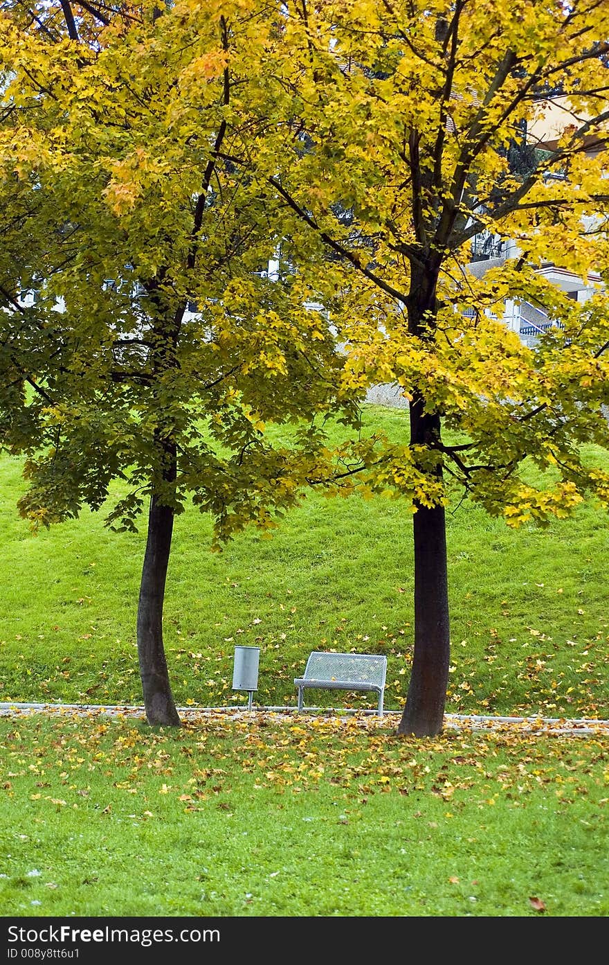 Seasonal fall colors in public city park. Seasonal fall colors in public city park