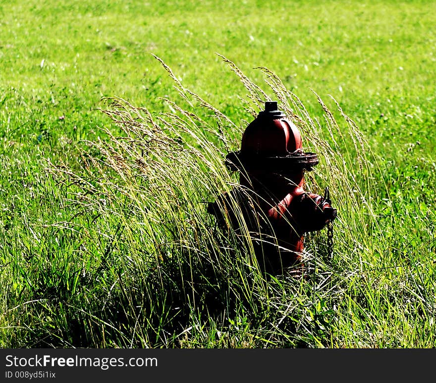 Photo of fire hydrant at the edge of an empty field.