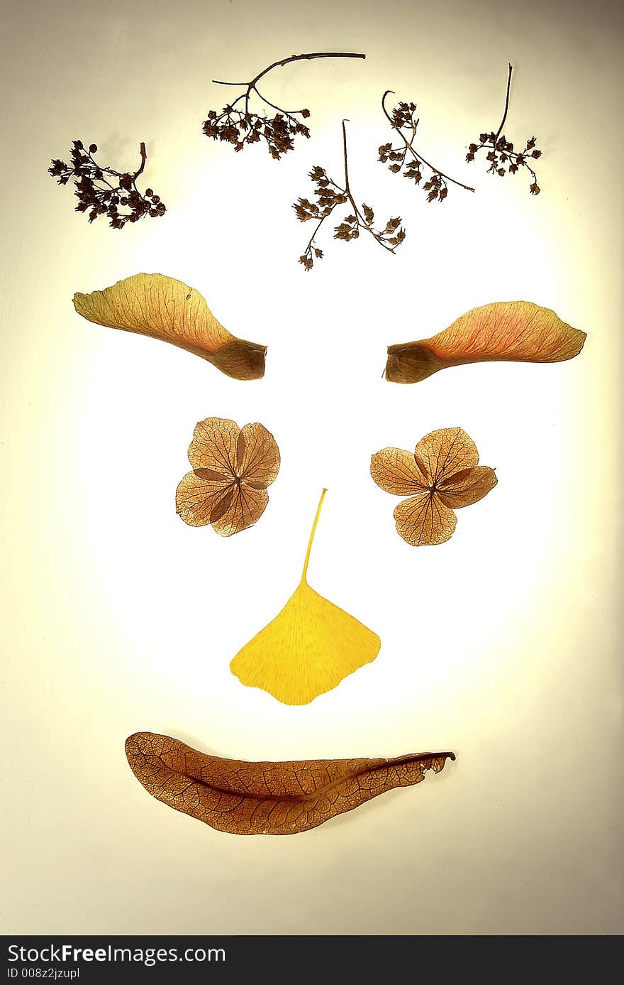 Autumnal smiling face with leaves. Autumnal smiling face with leaves