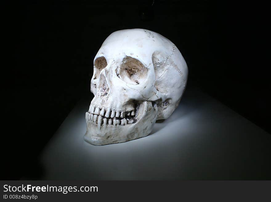 Model of skull in dark