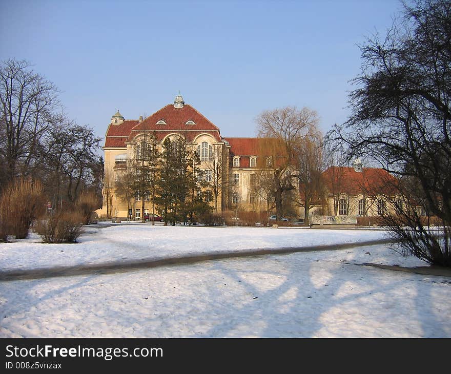 View of school near to trees in winter. View of school near to trees in winter.