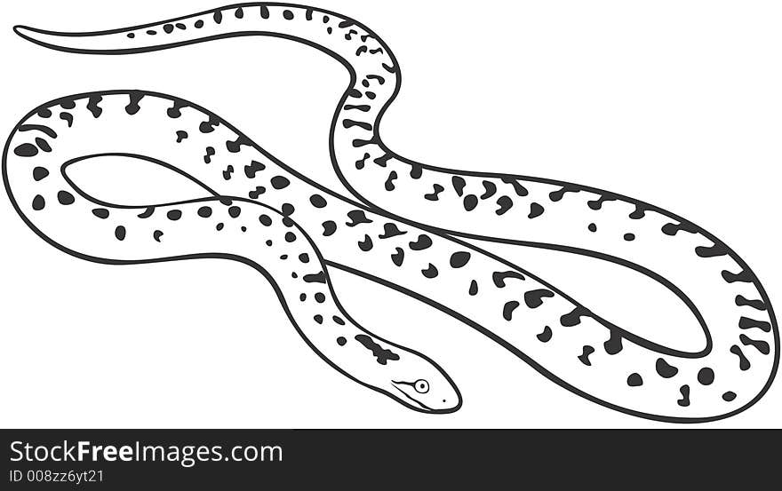 Smooth high resolution illustration of snake