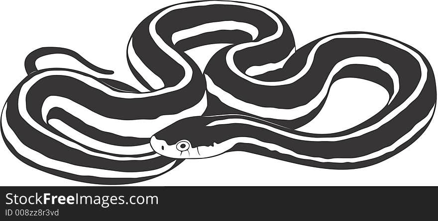 Smooth high resolution illustration of snake