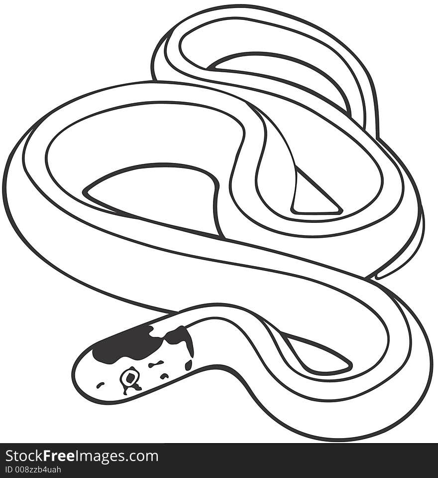 Smooth high resolution illustration of snake