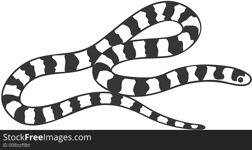 Smooth high resolution illustration of snake