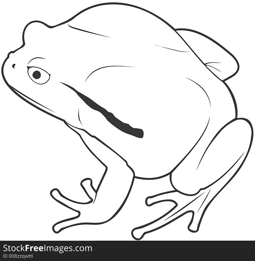 Smooth high resolution illustration of frog