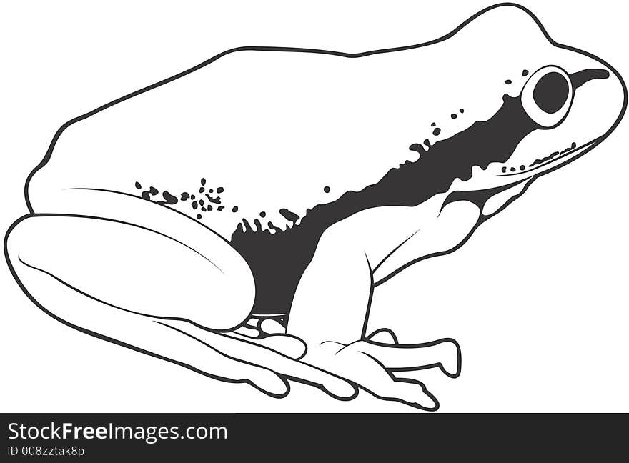 Smooth high resolution illustration of a frog