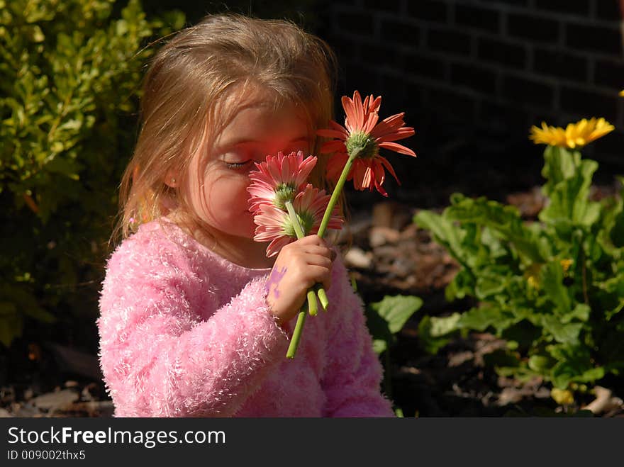 A little girl smelling the flowers she picked from her mother's garden. A little girl smelling the flowers she picked from her mother's garden.