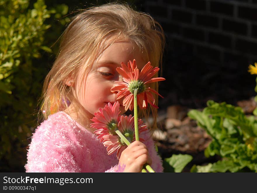 A little girl smelling the flowers she picked from her mother's garden. A little girl smelling the flowers she picked from her mother's garden.