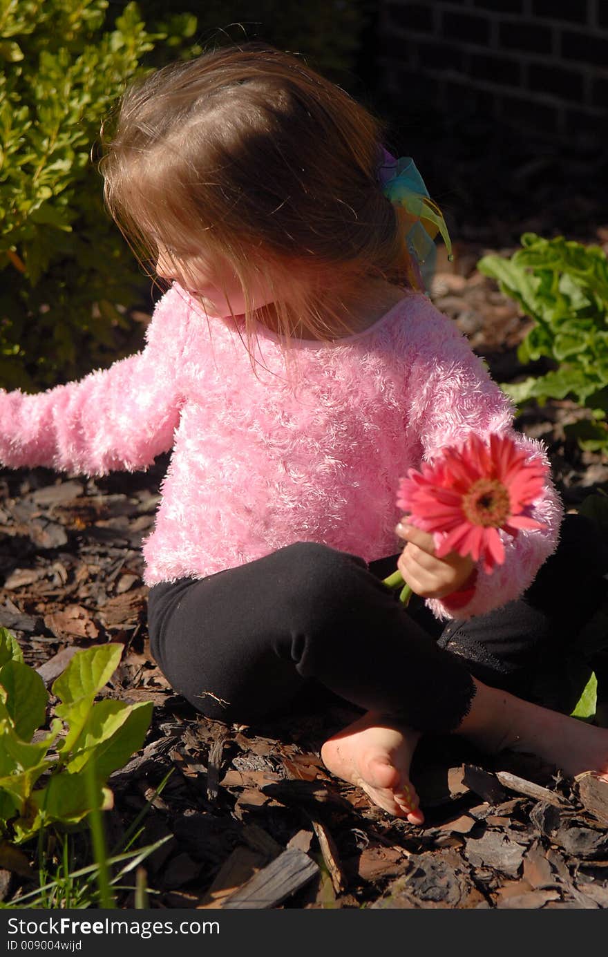 A little girl picking flowers from her mother's garden. A little girl picking flowers from her mother's garden